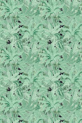Colour Serpentine