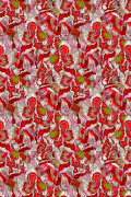 Colour Scarlet