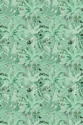 Colour Serpentine