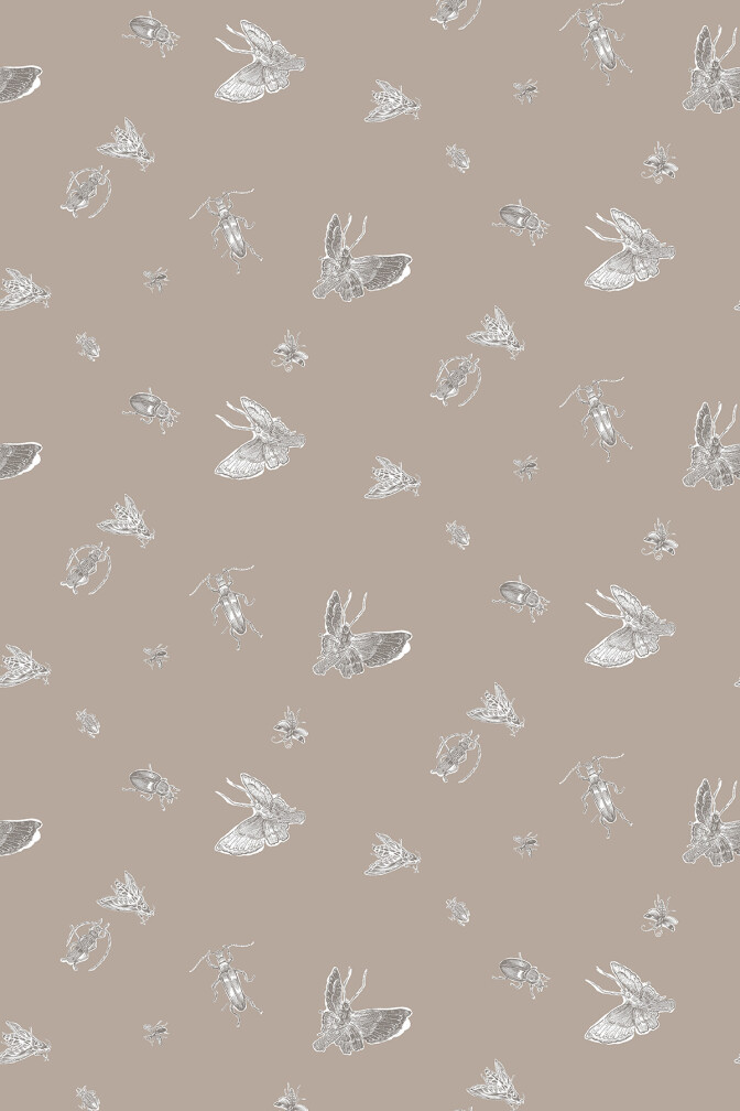 Insect Wallpaper