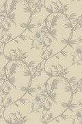 Colour Sage