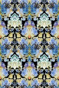 Colour Original