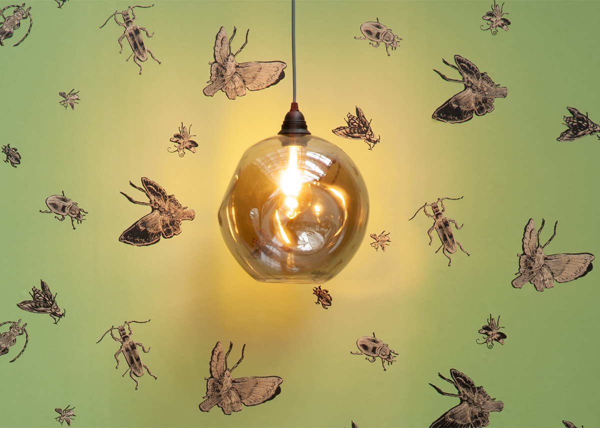 Insect Wallpaper