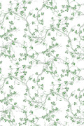 Colour Green