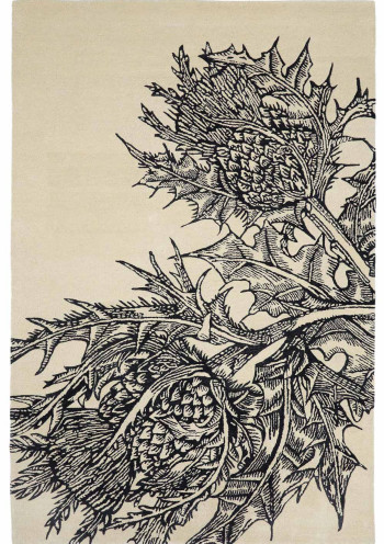 https://devel.timorousbeasties.com//mediaLibrary/images/english/13590-small.jpeg?v=1