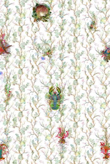 https://devel.timorousbeasties.com//mediaLibrary/images/english/21709-small.jpeg?v=1