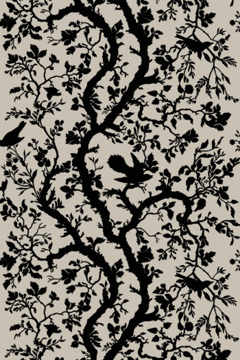 https://devel.timorousbeasties.com//mediaLibrary/images/english/6691-small.jpeg?v=1