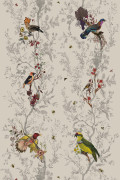 Colour Original