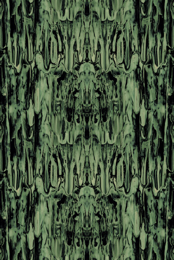 https://devel.timorousbeasties.com//mediaLibrary/images/english/68455-small.jpeg?v=1
