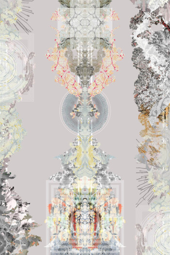 https://devel.timorousbeasties.com//mediaLibrary/images/english/74670-small.jpeg?v=1