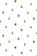 Colour Original Spot