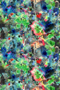 Colour Original