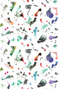 Colour Original