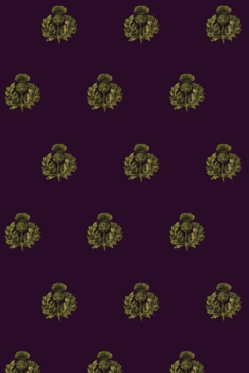 https://devel.timorousbeasties.com//mediaLibrary/images/english/8168-small.jpeg?v=1