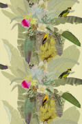 Colour Original
