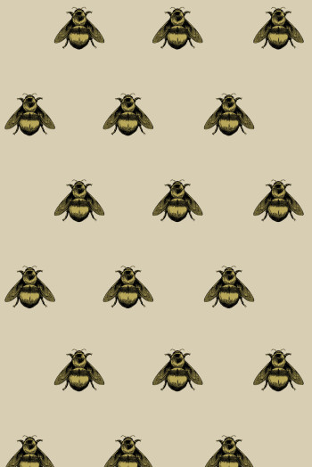 https://devel.timorousbeasties.com//mediaLibrary/images/english/8328-small.jpeg?v=1