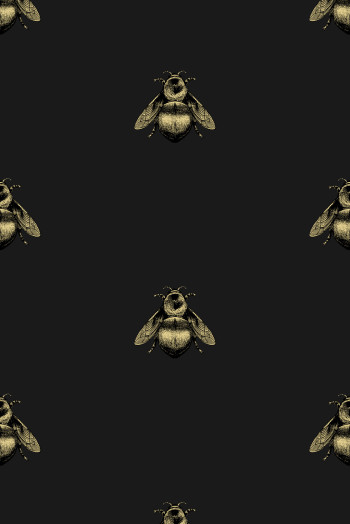 https://devel.timorousbeasties.com//mediaLibrary/images/english/8361-small.jpeg?v=1