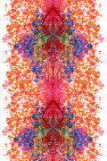 Colour Orange