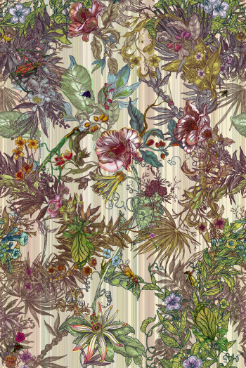 https://devel.timorousbeasties.com//mediaLibrary/images/english/8468-small.jpeg?v=1