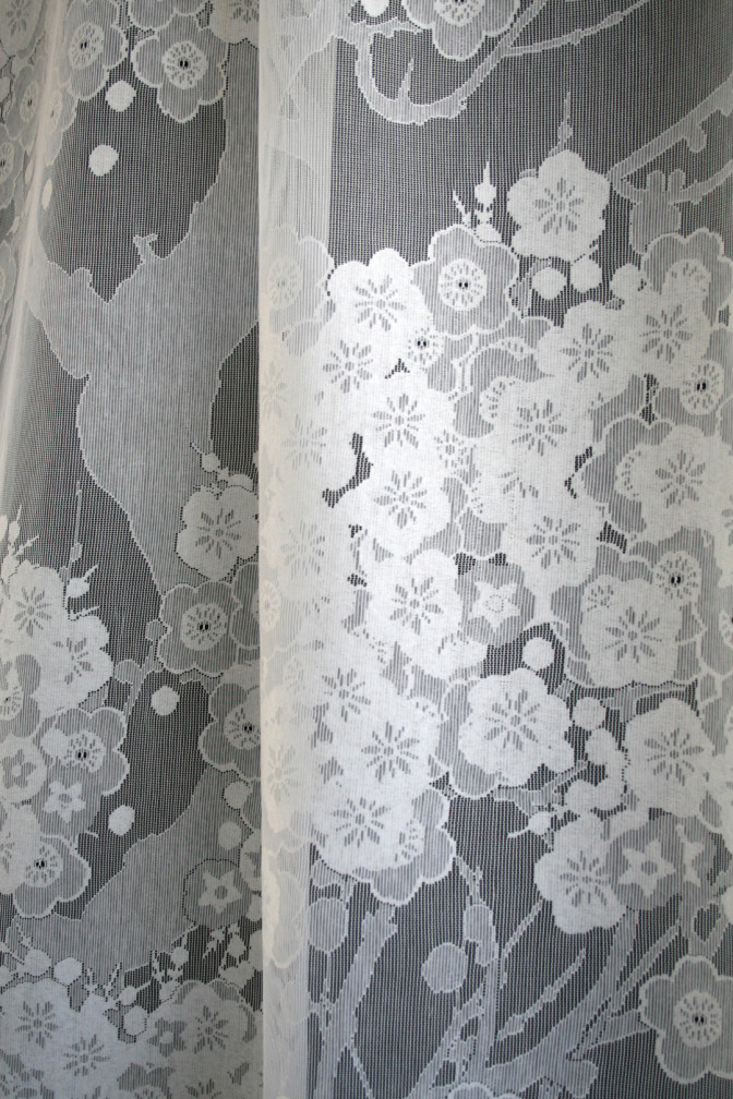 Summer Bloom Lace / image 3