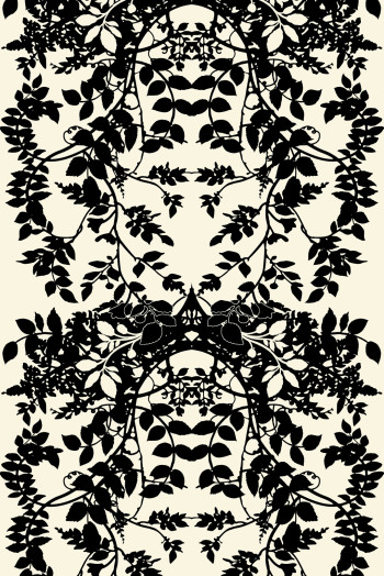 https://devel.timorousbeasties.com//mediaLibrary/images/english/8810-small.jpeg?v=1