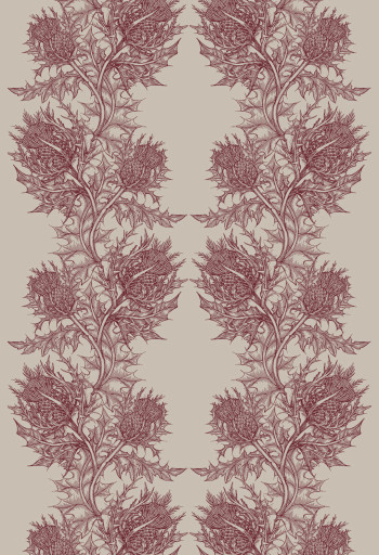https://devel.timorousbeasties.com//mediaLibrary/images/english/8846-small.jpeg?v=1