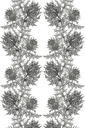 https://devel.timorousbeasties.com//mediaLibrary/images/english/8856-small.jpeg?v=1