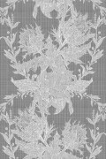 Colour Ivory