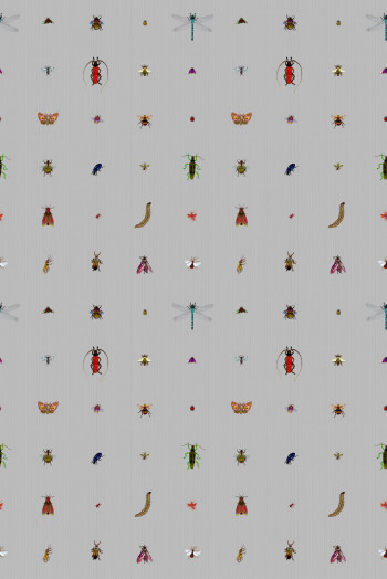 https://devel.timorousbeasties.com//mediaLibrary/images/english/9339-small.jpeg?v=1