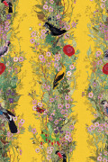 Colour Cadmium